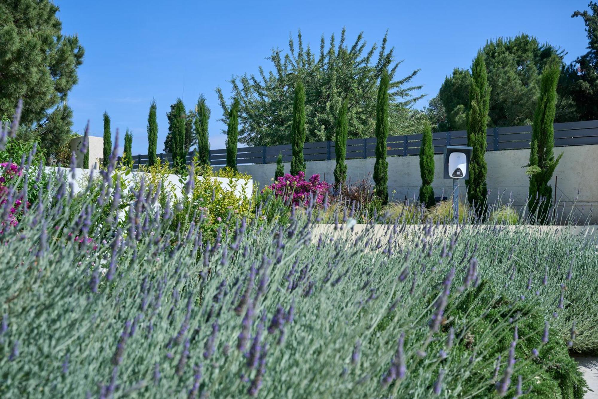 Kyamon Estate Luxury *